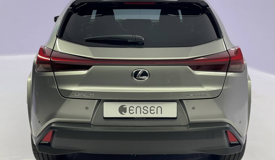 LEXUS UX 300e Excellence Electric