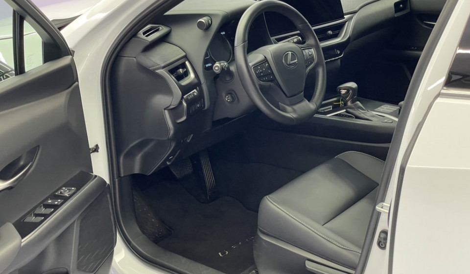 LEXUS UX 250h F Line E-FOUR Voll-Hybrid