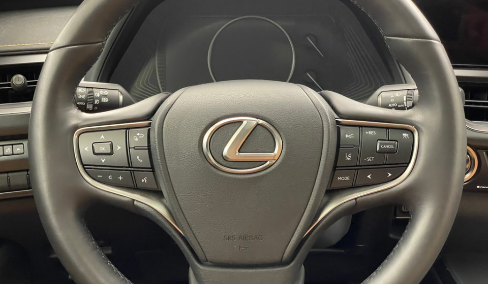 LEXUS UX 300h F Sport E-FOUR Voll-Hybrid