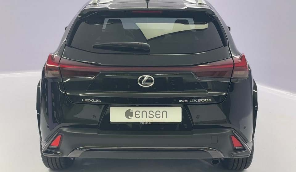 LEXUS UX 300h F Sport E-FOUR Voll-Hybrid