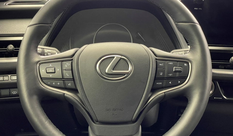 LEXUS UX 250h F Line E-FOUR Voll-Hybrid