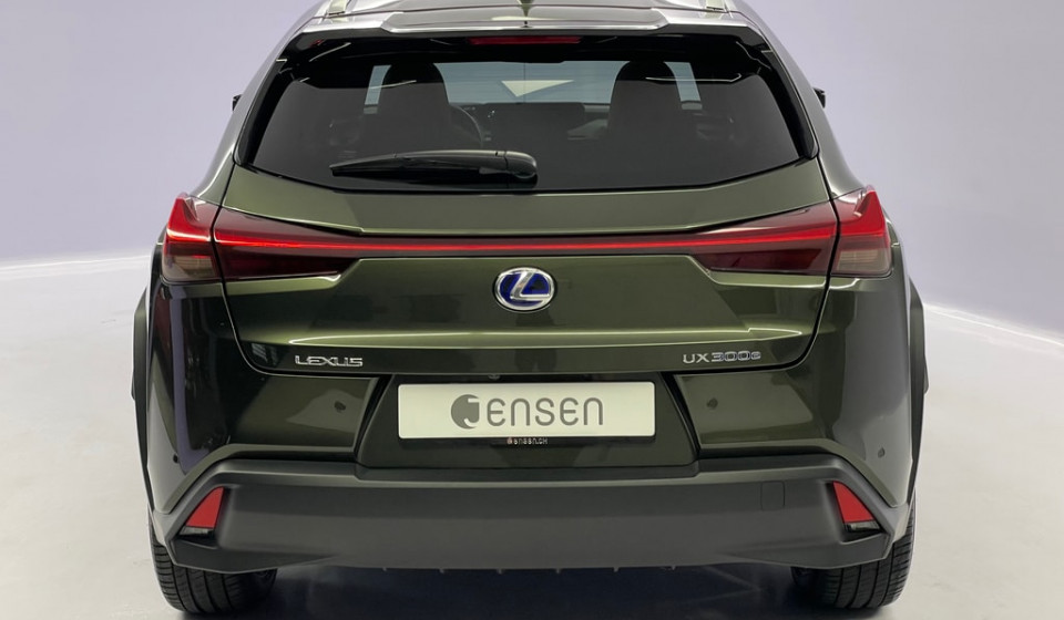 LEXUS UX 300e Excellence Electric