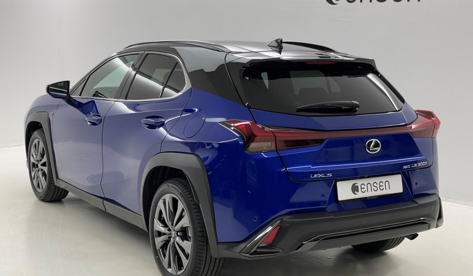 LEXUS UX 300h F Line E-FOUR Voll-Hybrid