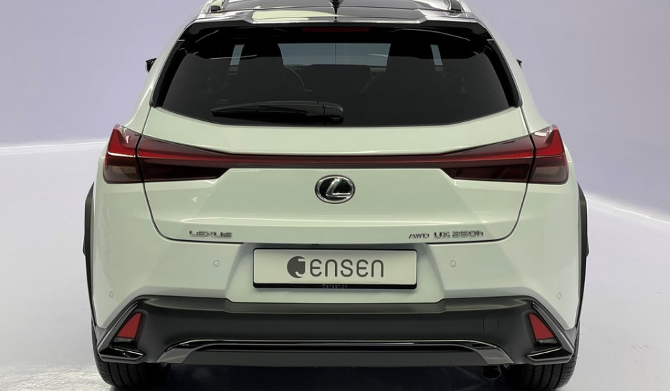 LEXUS UX 250h F Line E-FOUR Voll-Hybrid