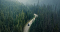 Jensen Video Vorschaubild Wald Auto