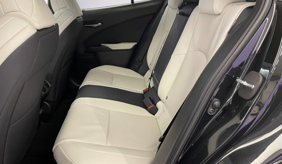 LEXUS UX 300h F Sport E-FOUR Voll-Hybrid
