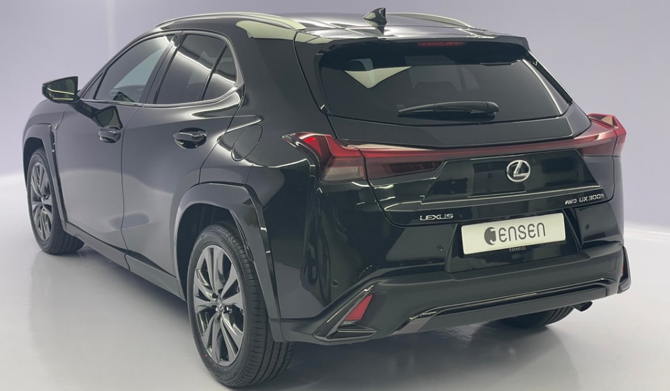 LEXUS UX 300h F Sport E-FOUR Voll-Hybrid