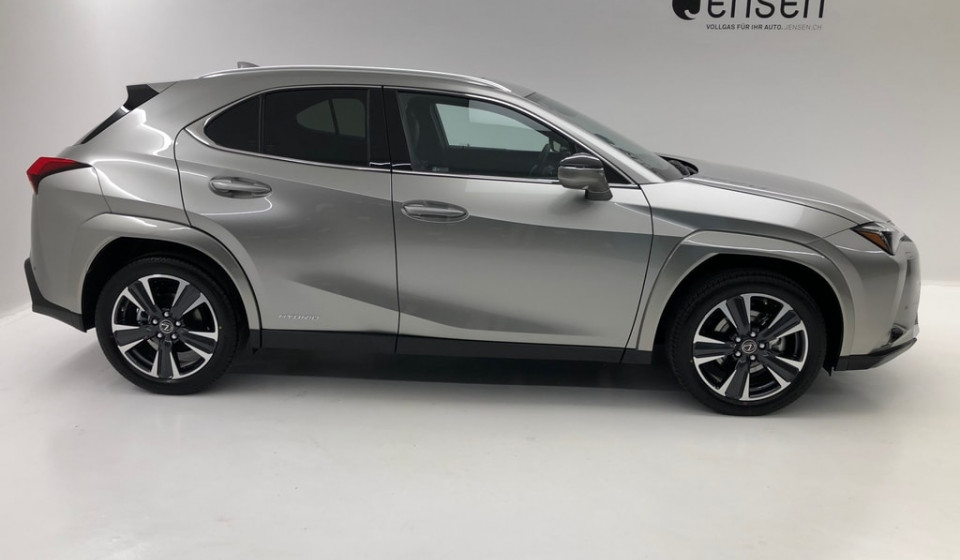 LEXUS UX 250h Excellence E-FOUR Voll-Hybrid