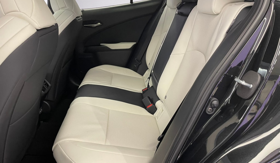 LEXUS UX 300h F Sport E-FOUR Voll-Hybrid