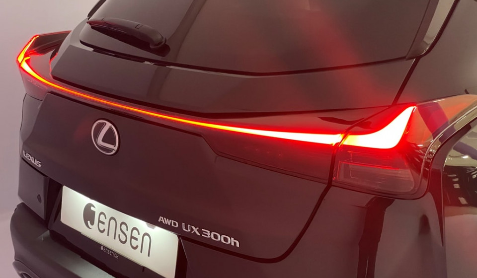 LEXUS UX 300h F Sport E-FOUR Voll-Hybrid