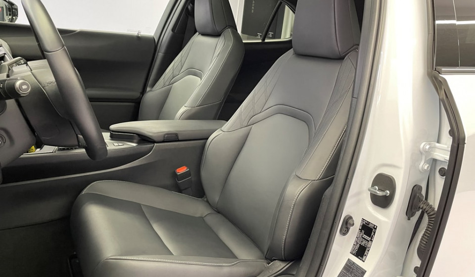 LEXUS UX 250h F Line E-FOUR Voll-Hybrid