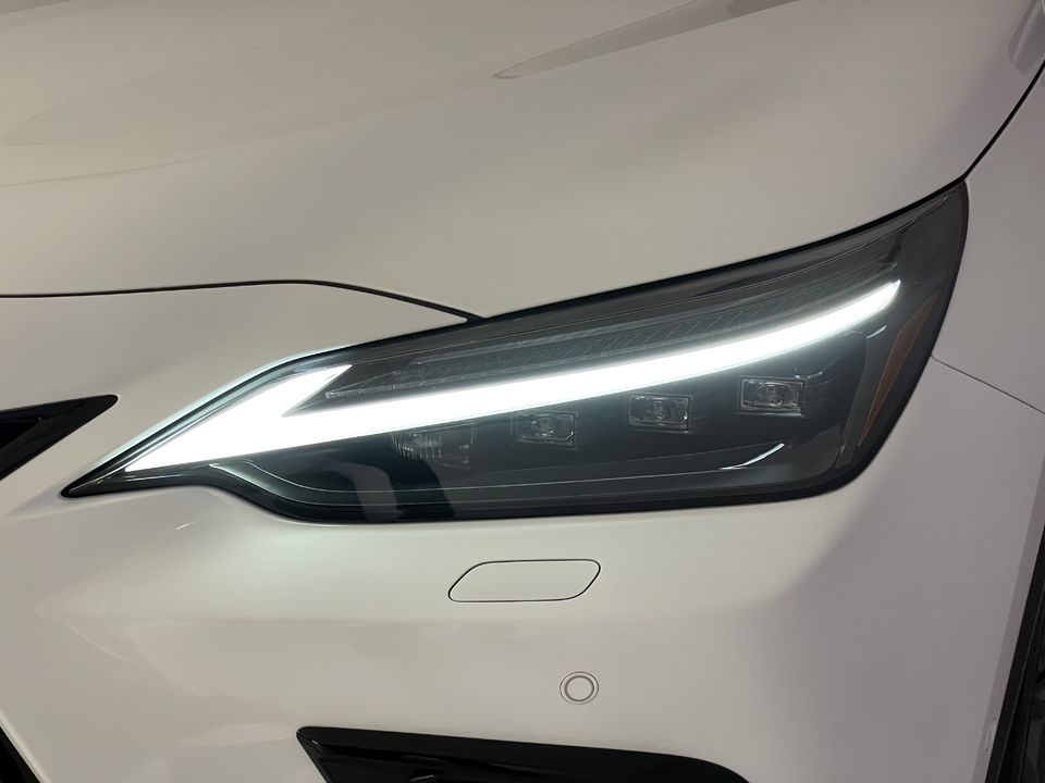 NX 350h F-Sport AWD