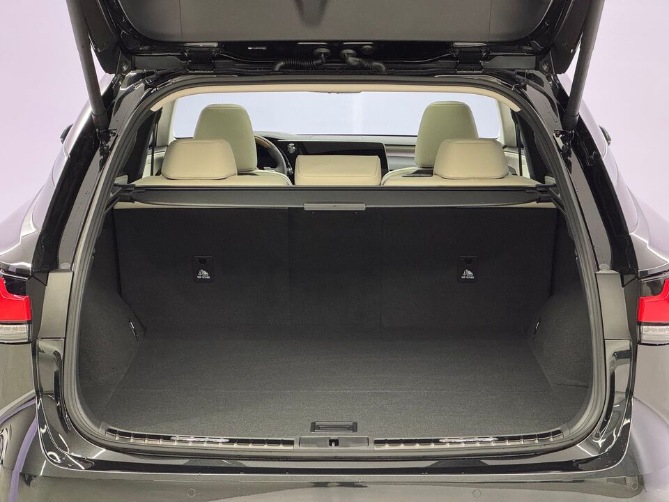 RX 450h+ Excellence AWD