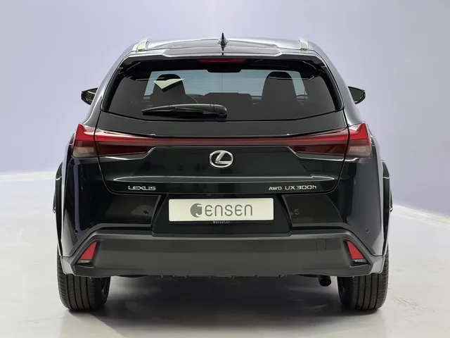 LEXUS UX 300h Excellence AWD