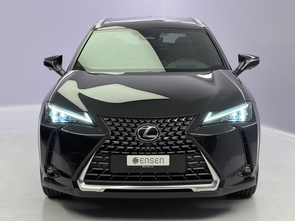 UX 300h Excellence AWD