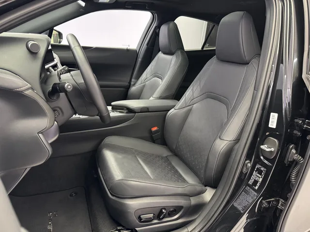 LEXUS UX 300h Excellence AWD