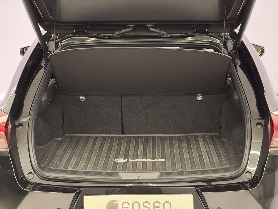 UX 300h Excellence AWD