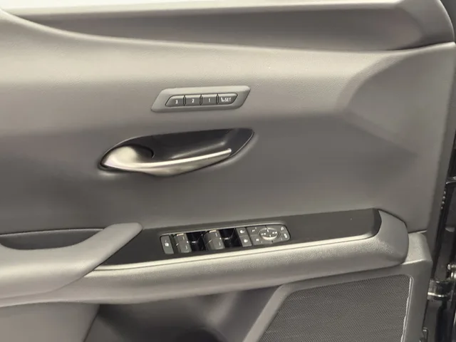 LEXUS UX 300h Excellence AWD
