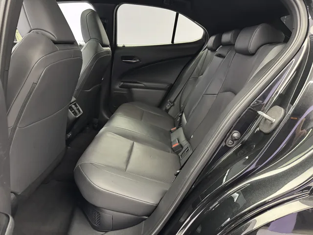 LEXUS UX 300h Excellence AWD