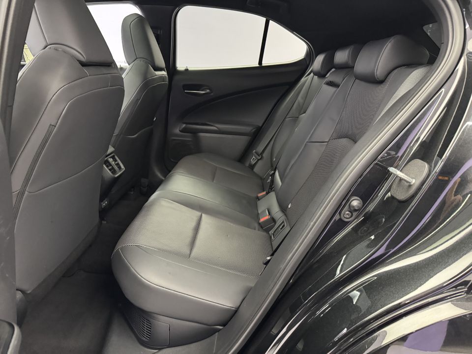 UX 300h Excellence AWD