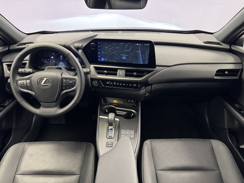 UX 300h Excellence AWD