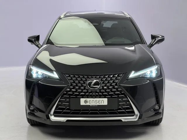 LEXUS UX 300h Excellence AWD
