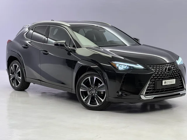 LEXUS UX 300h Excellence AWD