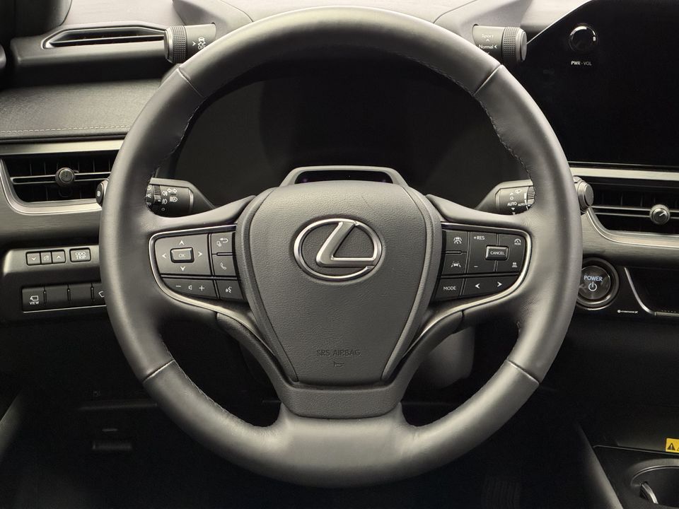 UX 300h Excellence AWD
