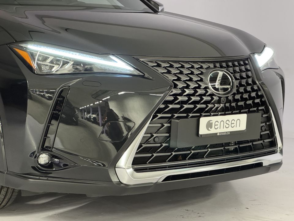 UX 300h Excellence AWD