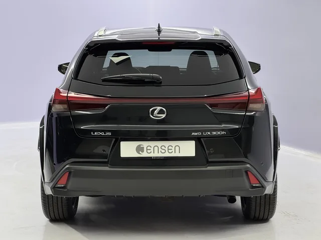 LEXUS UX 300h Excellence AWD