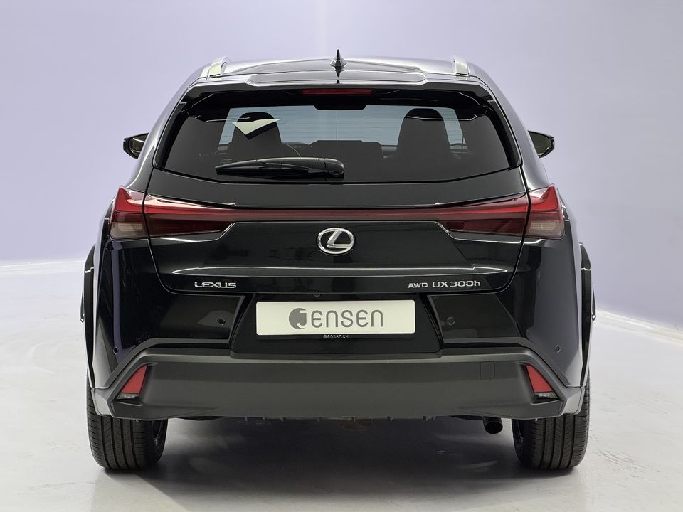 UX 300h Excellence AWD