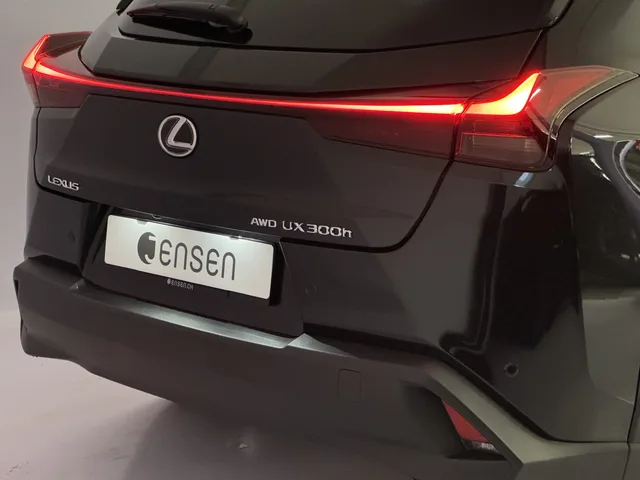 LEXUS UX 300h Excellence AWD