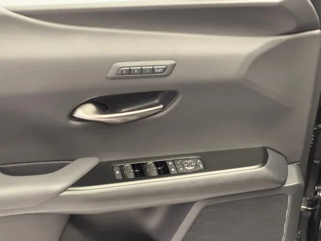 LEXUS UX 300h Excellence AWD