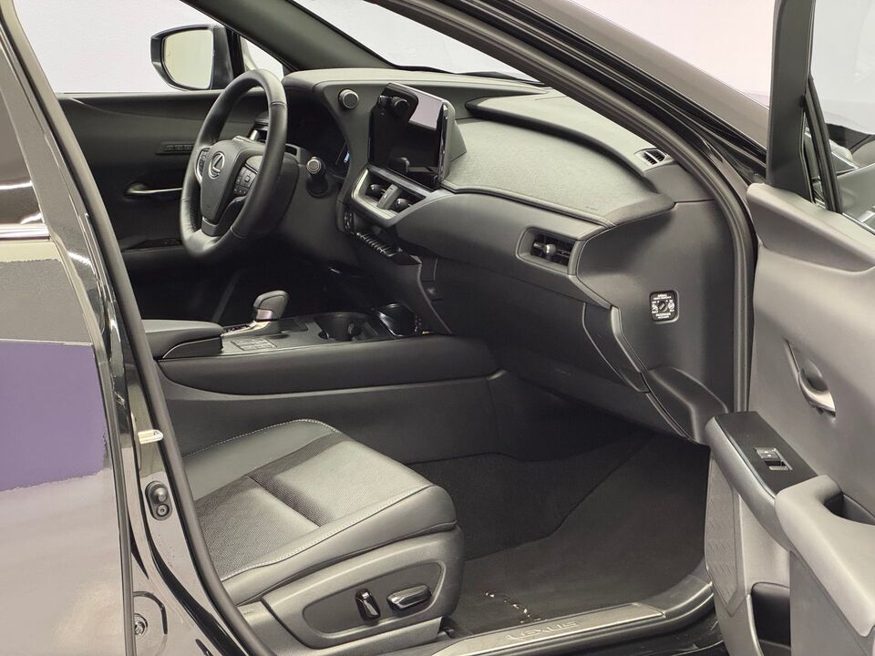 UX 300h Excellence AWD