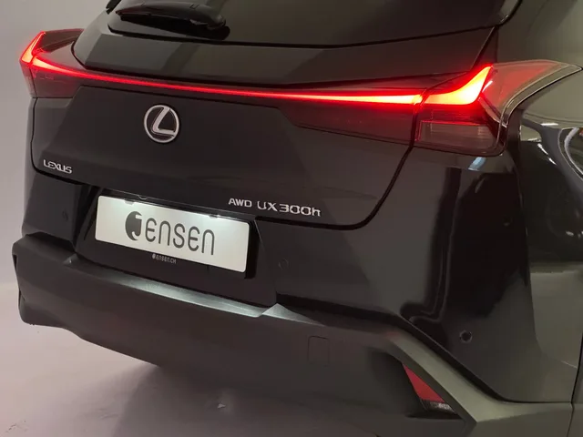 LEXUS UX 300h Excellence AWD