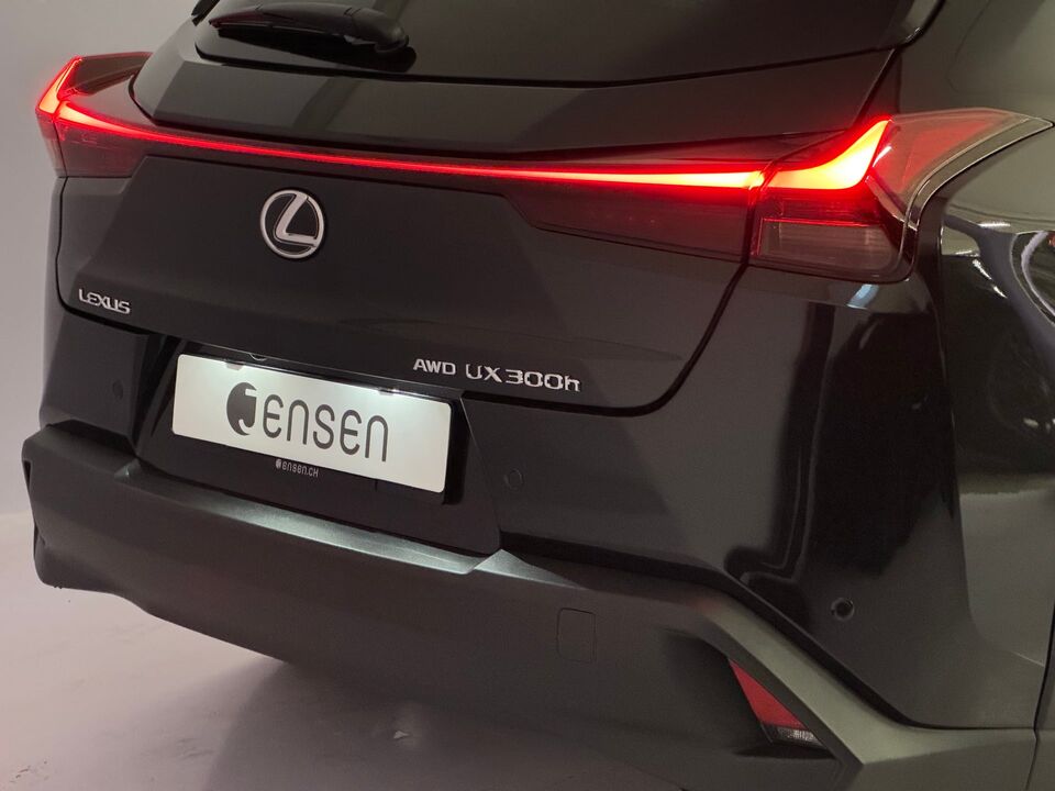 UX 300h Excellence AWD