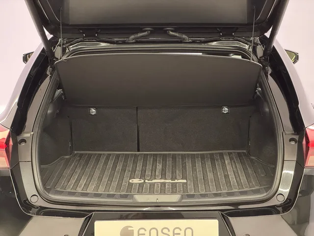 LEXUS UX 300h Excellence AWD