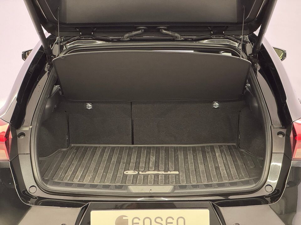 UX 300h Excellence AWD