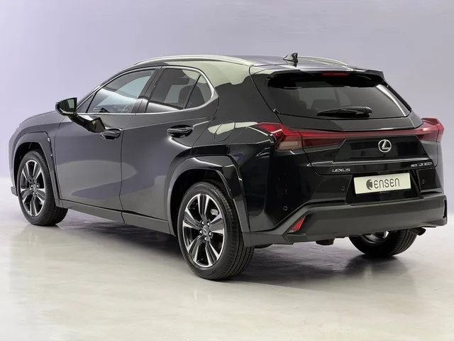 LEXUS UX 300h Excellence AWD