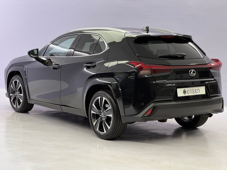 UX 300h Excellence AWD