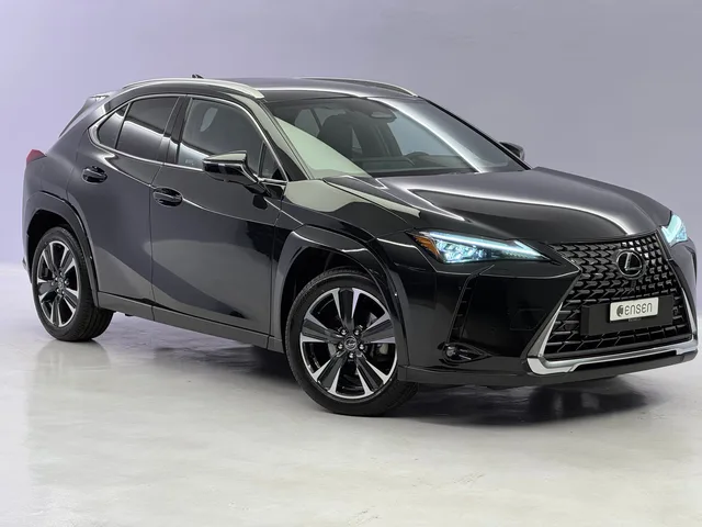 LEXUS UX 300h Excellence AWD