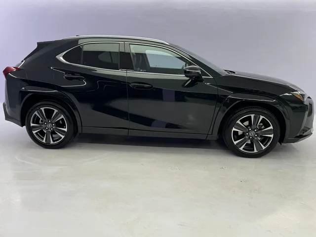LEXUS UX 300h Excellence AWD