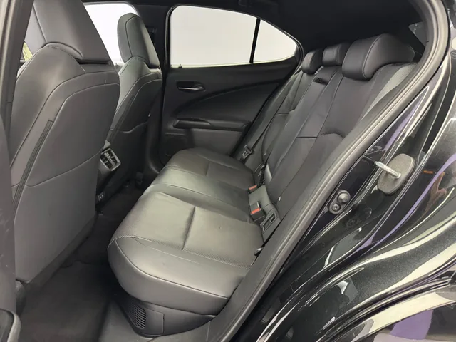LEXUS UX 300h Excellence AWD