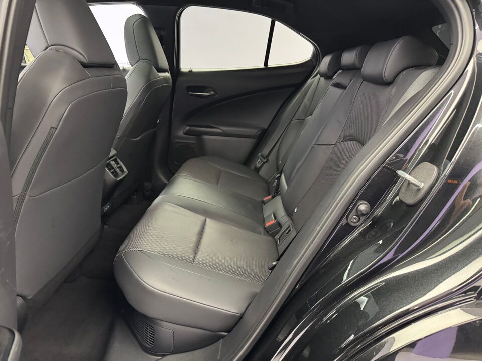 UX 300h Excellence AWD