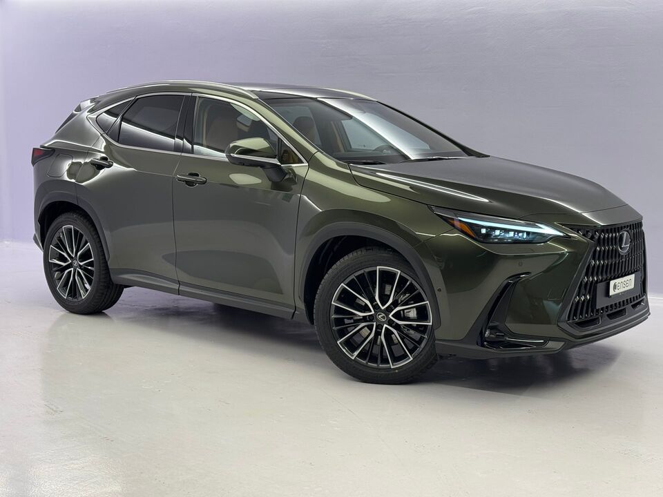 NX 450h+ Excellence AWD
