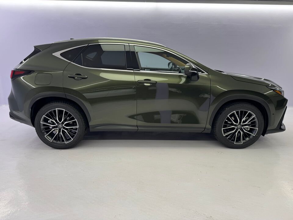 NX 450h+ Excellence AWD