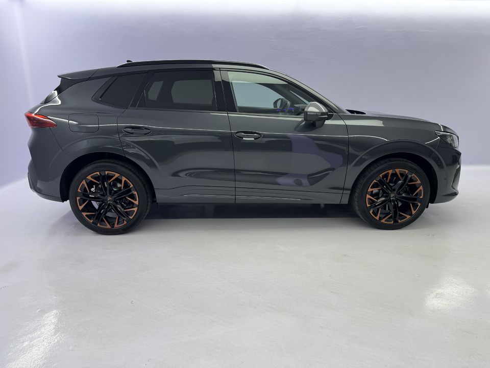 Terramar 2.0 TSI VZ 4Drive DSG