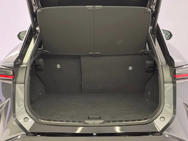 LEXUS RZ 450e Excellence AWD