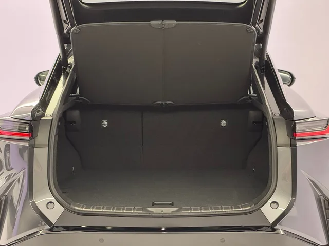 LEXUS RZ 500e Excellence AWD