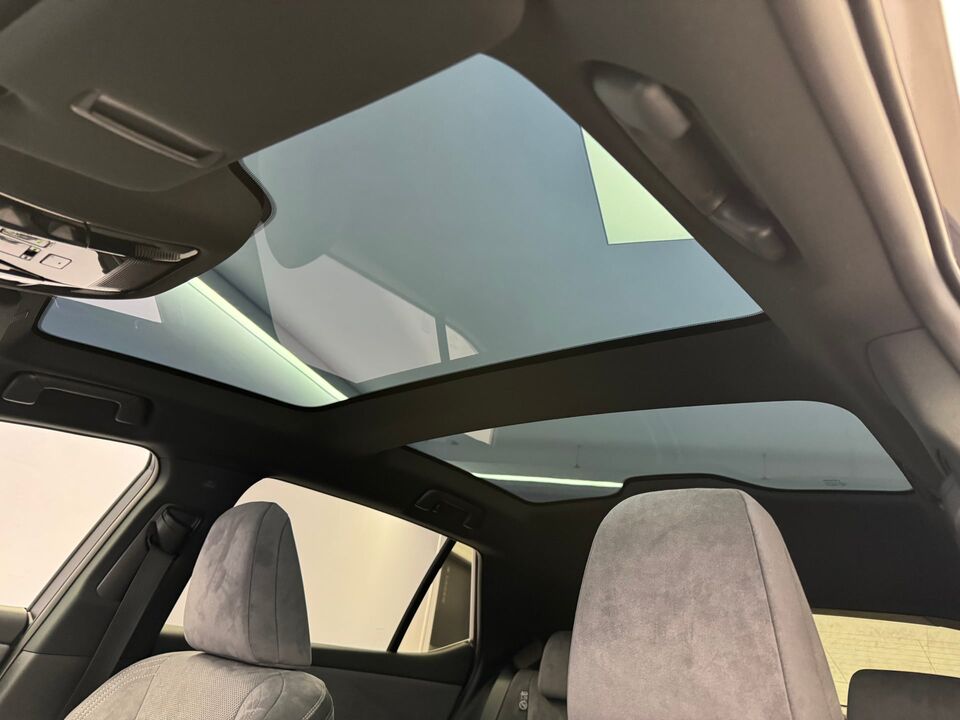 RZ 500e Excellence AWD